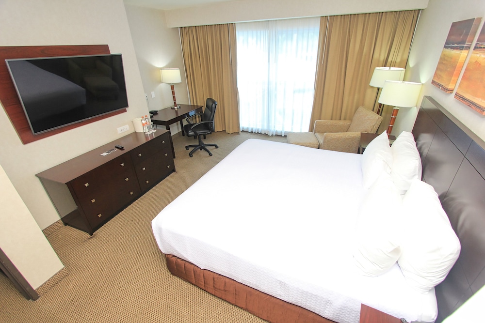 Suite, 1 King Bed - Photo 11