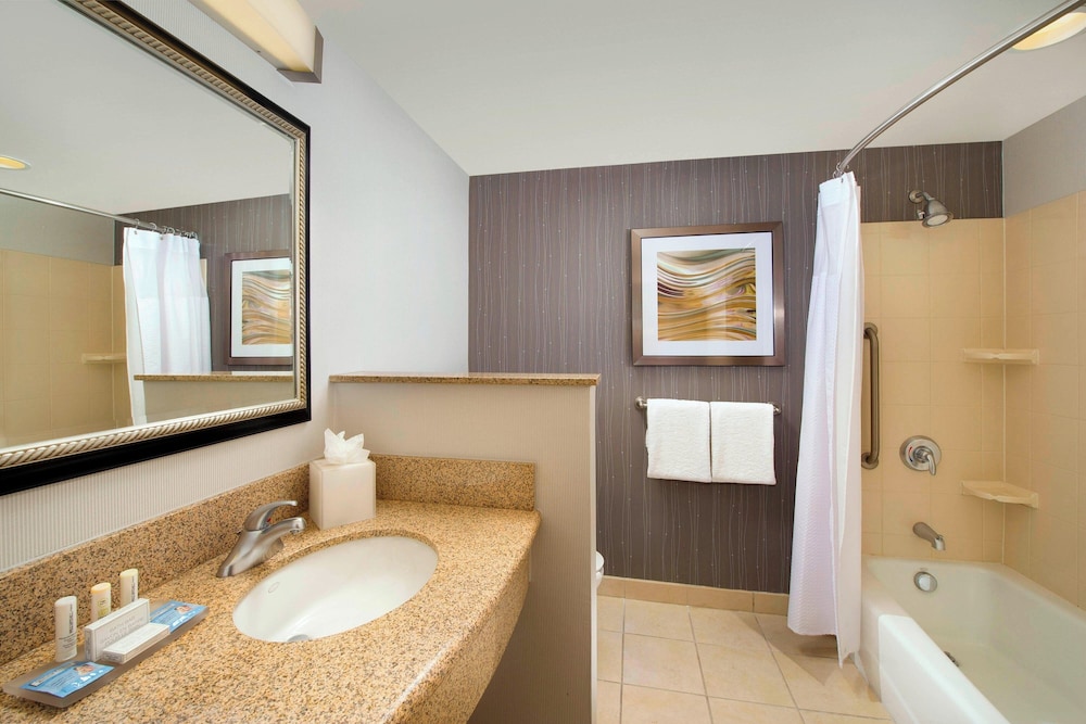 Room, 1 King Bed (Mobility Accessible, Roll-in Shower) - Photo 5