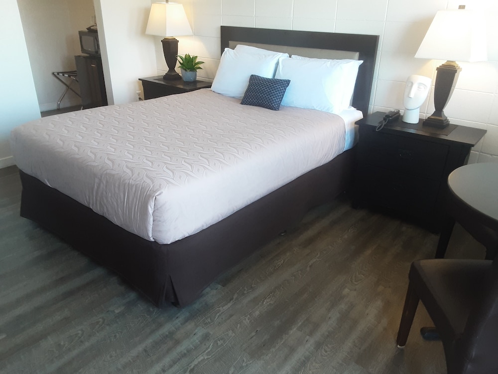 Room, 1 Queen Bed photo 1