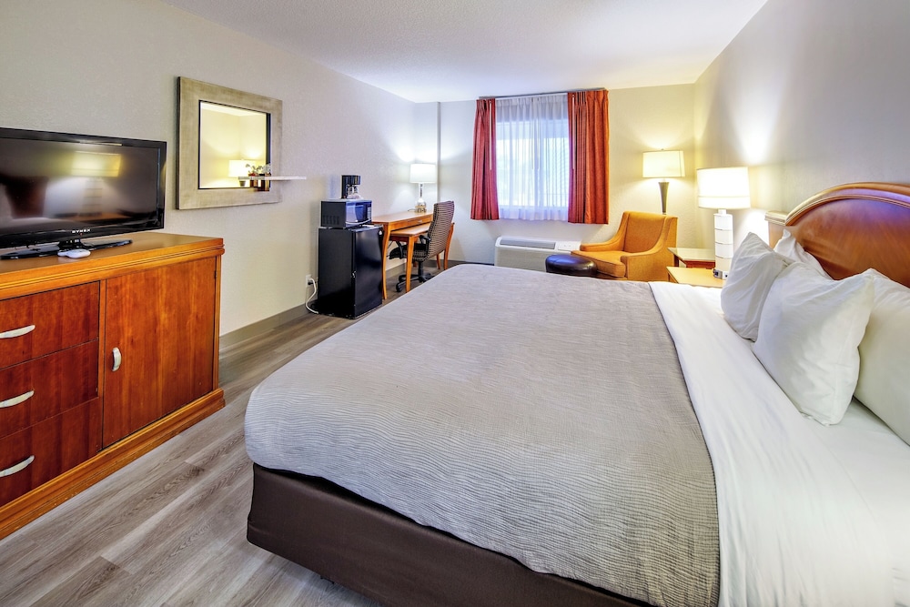 Room, 1 King Bed, Non Smoking
