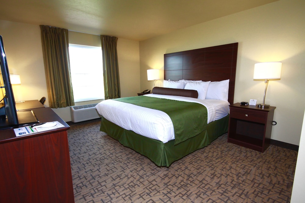 Room, 1 King Bed, Non Smoking