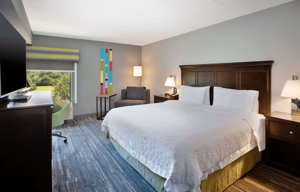 Room, 1 King Bed, Non Smoking photo 2