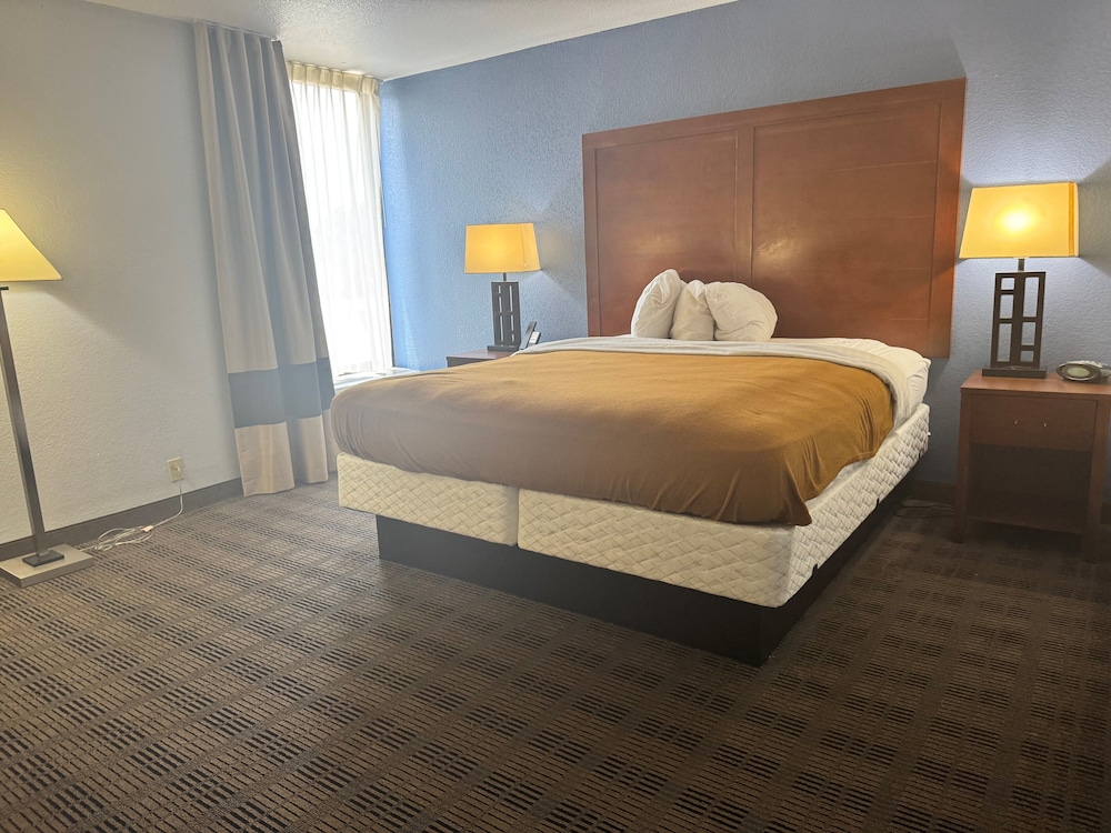 Studio Suite, 1 King Bed, Non Smoking - Photo 3