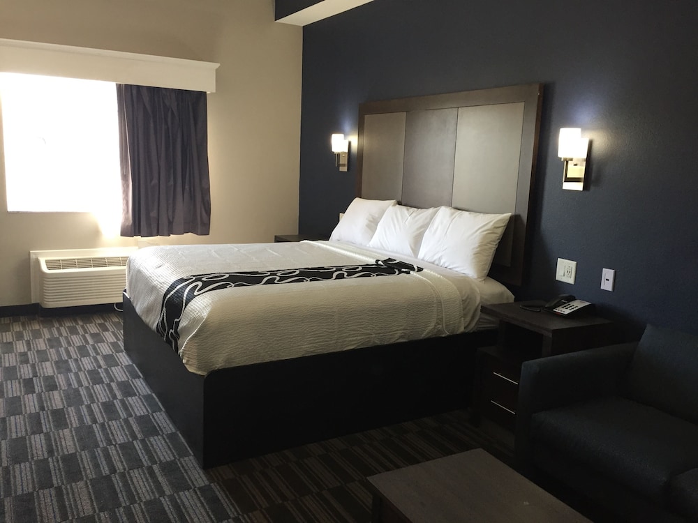 Suite, 1 King Bed photo 1