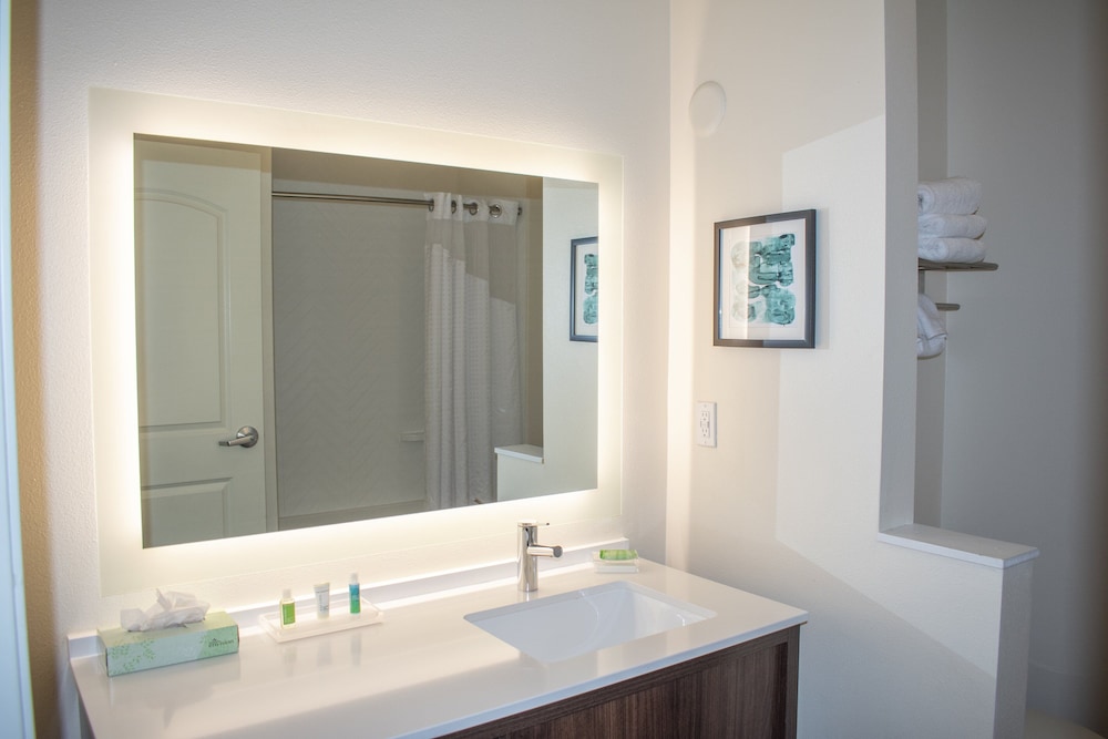 Premium Room, 1 King Bed (TDM Stadium View) - Photo 6