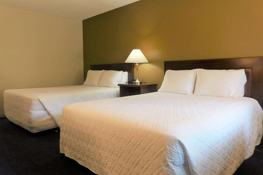 Room, Multiple Beds, Non Smoking - Photo 1