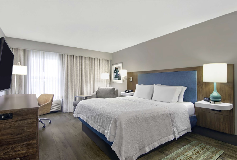 Room, 1 King Bed, Accessible, Bathtub (Mobility & Hearing) - Photo 1