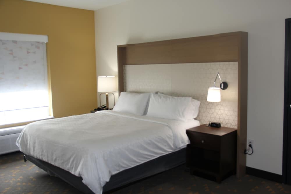 Standard Room, 1 King Bed, Roll-in Shower (Roll-In Shower) - Photo 4