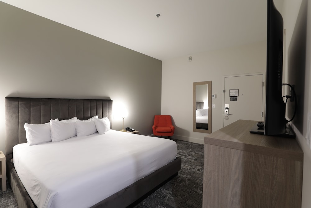 Suite, 1 King Bed