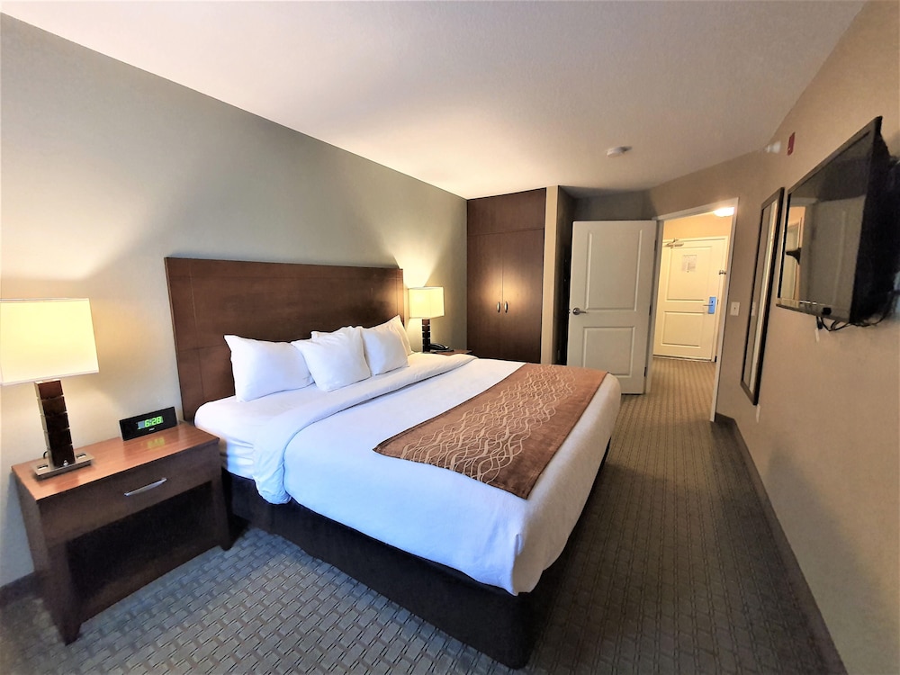 Executive Cabin photo 3