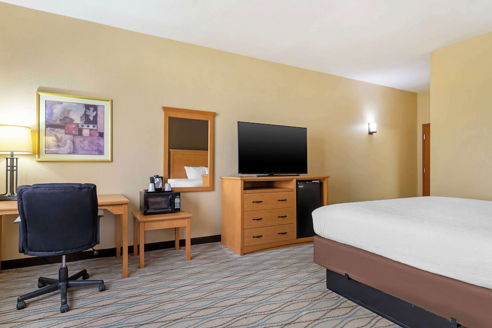 Standard Room, 1 King Bed, Non Smoking, Refrigerator & Microwave - Photo 3