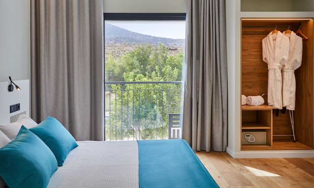 Suite Junior, con vista al jardín