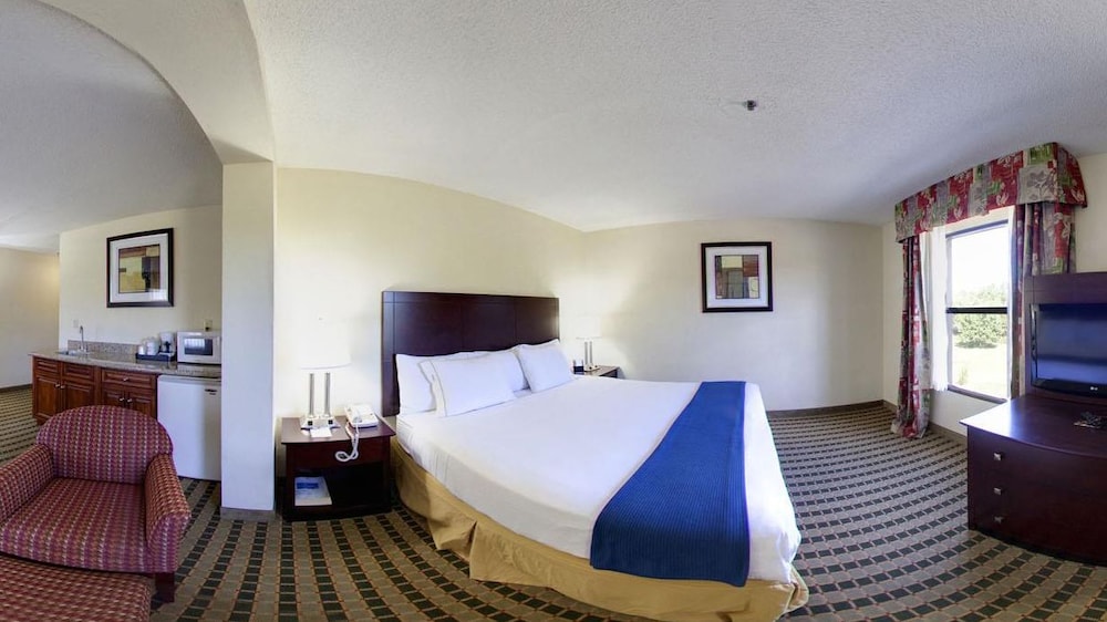 Suite, 1 King Bed, Non Smoking, Kitchenette (with Sofabed) - Photo 2
