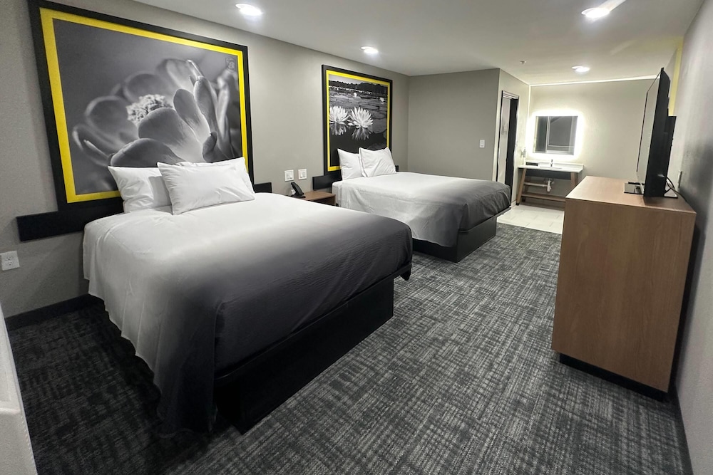Room, 2 Queen Beds, Non Smoking