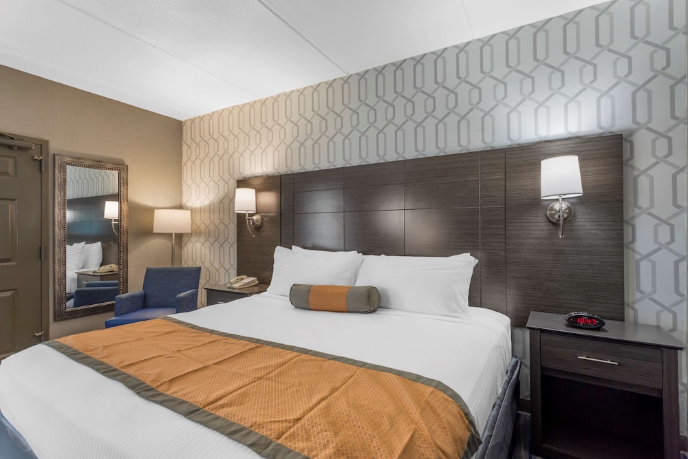 Standard Room, 1 King Bed, Accessible, Non Smoking (1st Floor;Pet Friendly) - Photo 3
