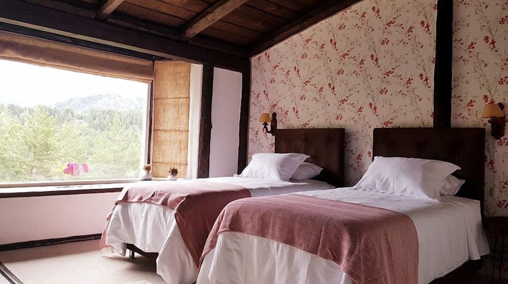 Superior Double Room photo 1
