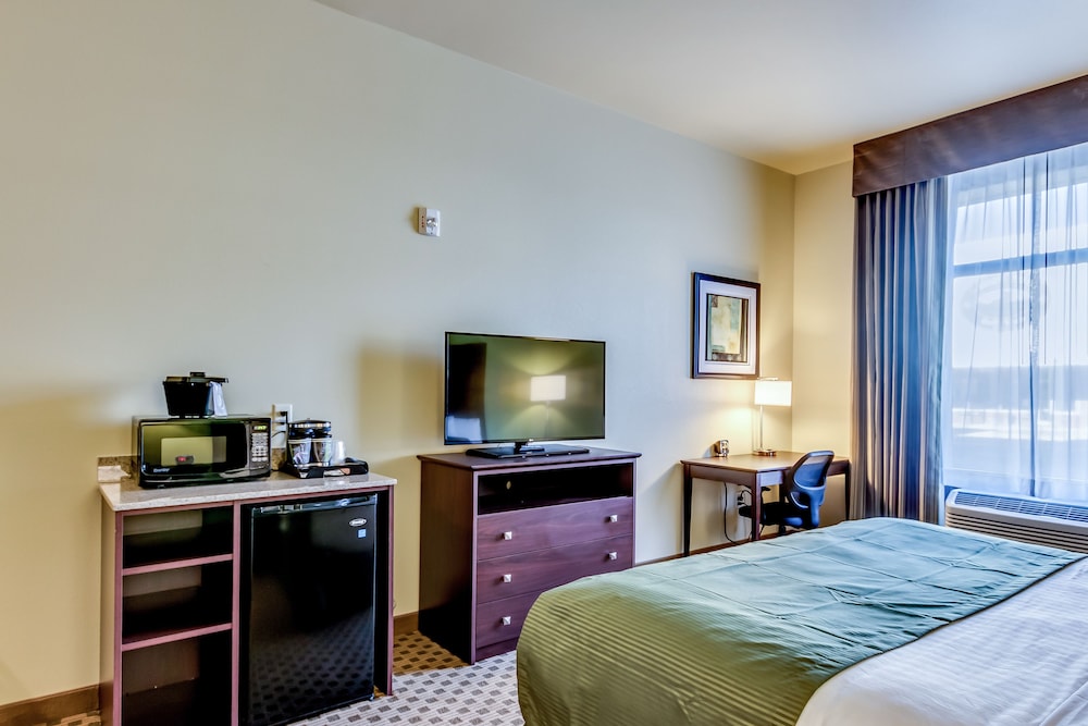 Room, 1 King Bed, Accessible Roll in Shower, Non Smoking photo 2
