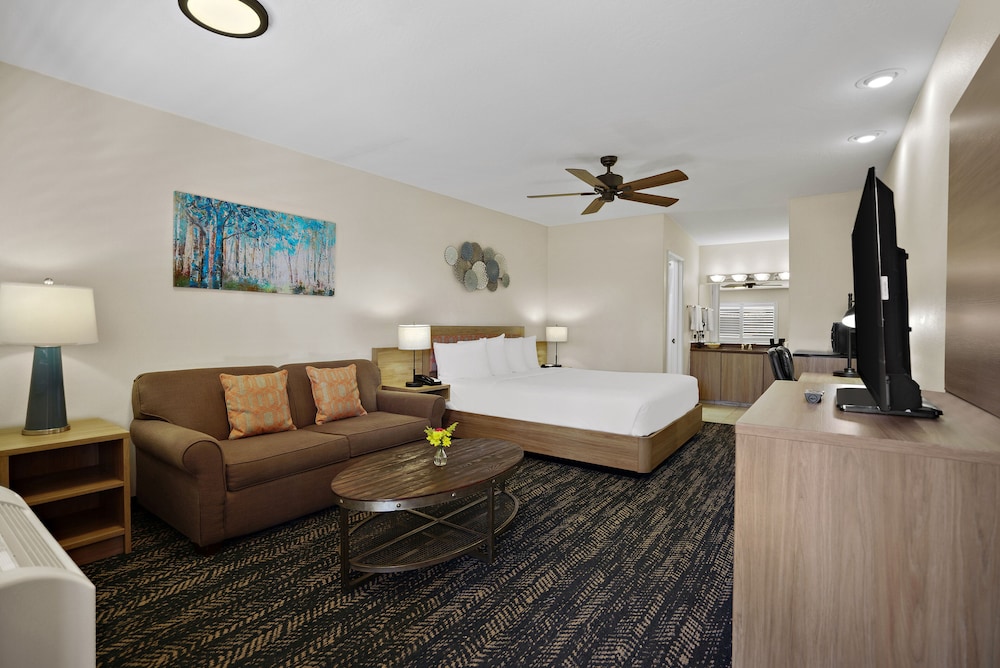 Studio Suite, 1 King Bed with Sofa bed, Non Smoking