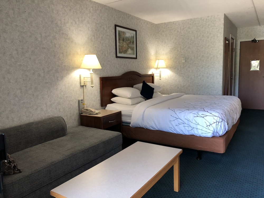 Deluxe Room, 1 King Bed, Non Smoking - Photo 2