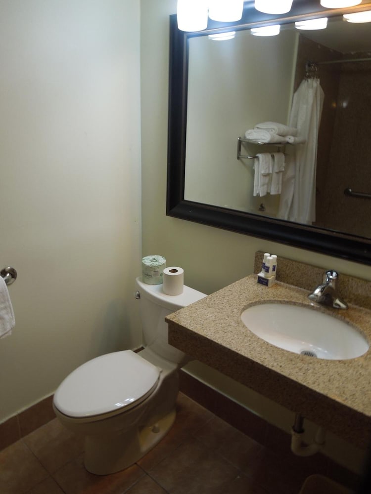 Room, 1 Queen Bed, photo 7