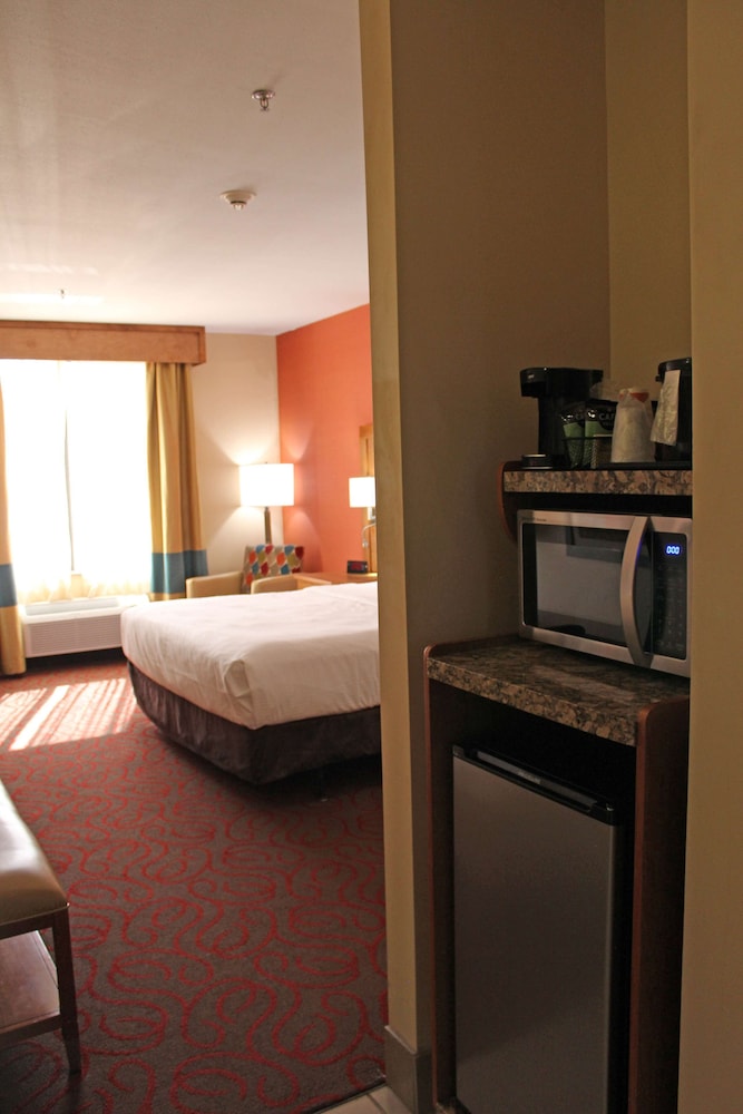 Suite, 1 King Bed, Non Smoking, Refrigerator & Microwave (with Sofabed) - Photo 3