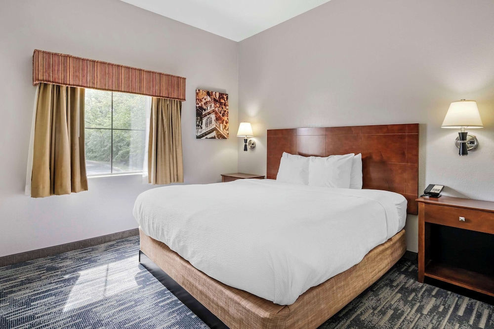 Suite, 1 King Bed, Non Smoking - Photo 1