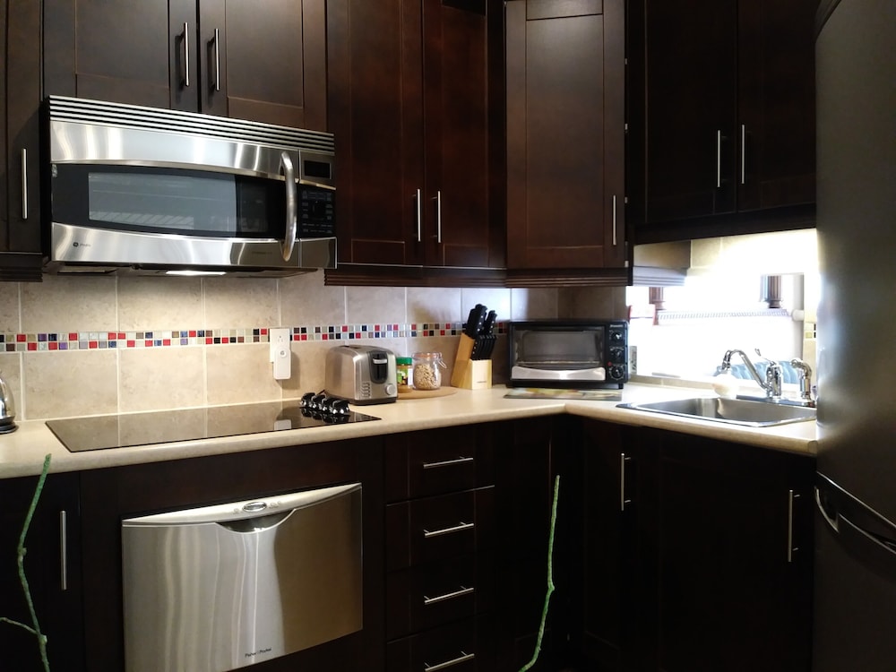 Deluxe Condo, 1 Queen Bed with Sofa bed, Non Smoking, City View photo 3
