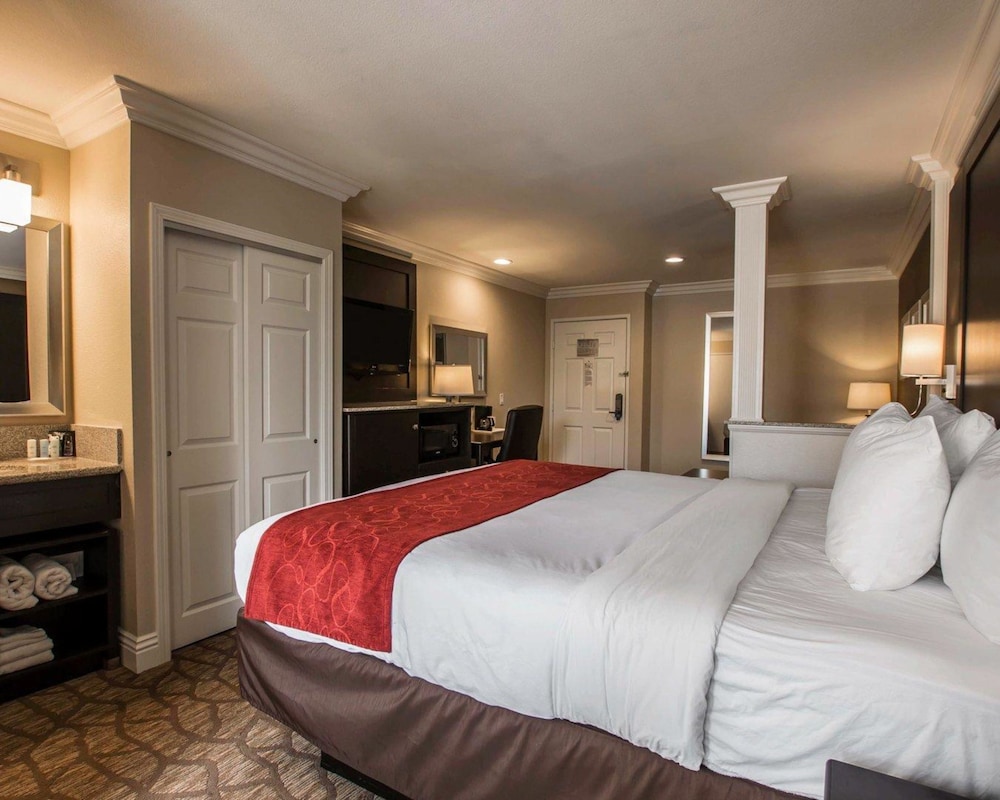 Suite, 1 King Bed with Sofabed, Accessible Roll-In Shower, Non Smoking - Photo 4