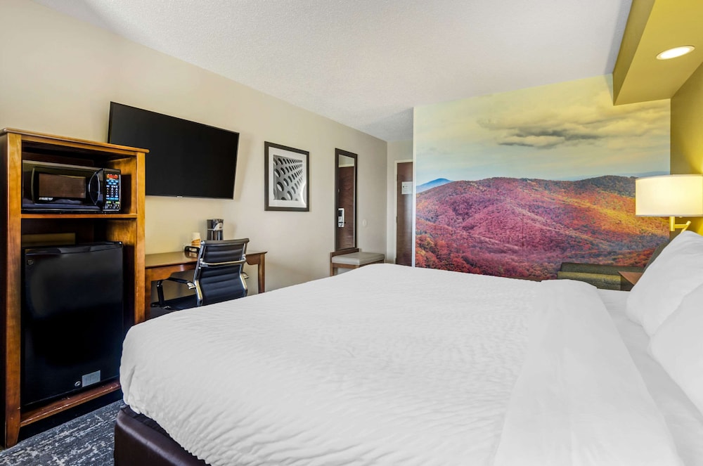 Suite, 1 King Bed, Non Smoking, Mountain View photo 3
