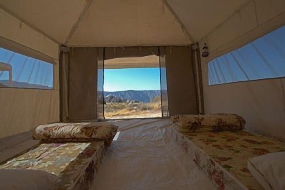 Deluxe Twin Room photo 1