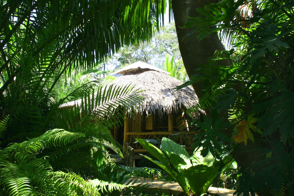 4 Bed Bungalow (1 Queen, 1 Double, & 2 Single Beds) photo 3