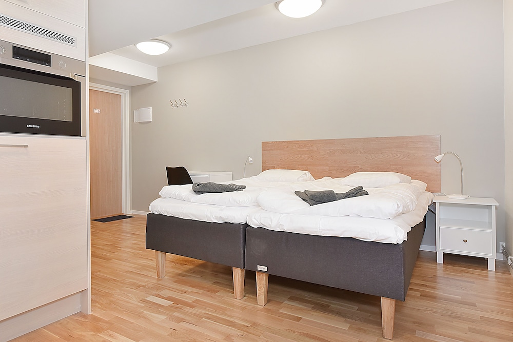 Junior Studio, 1 Queen Bed photo 2