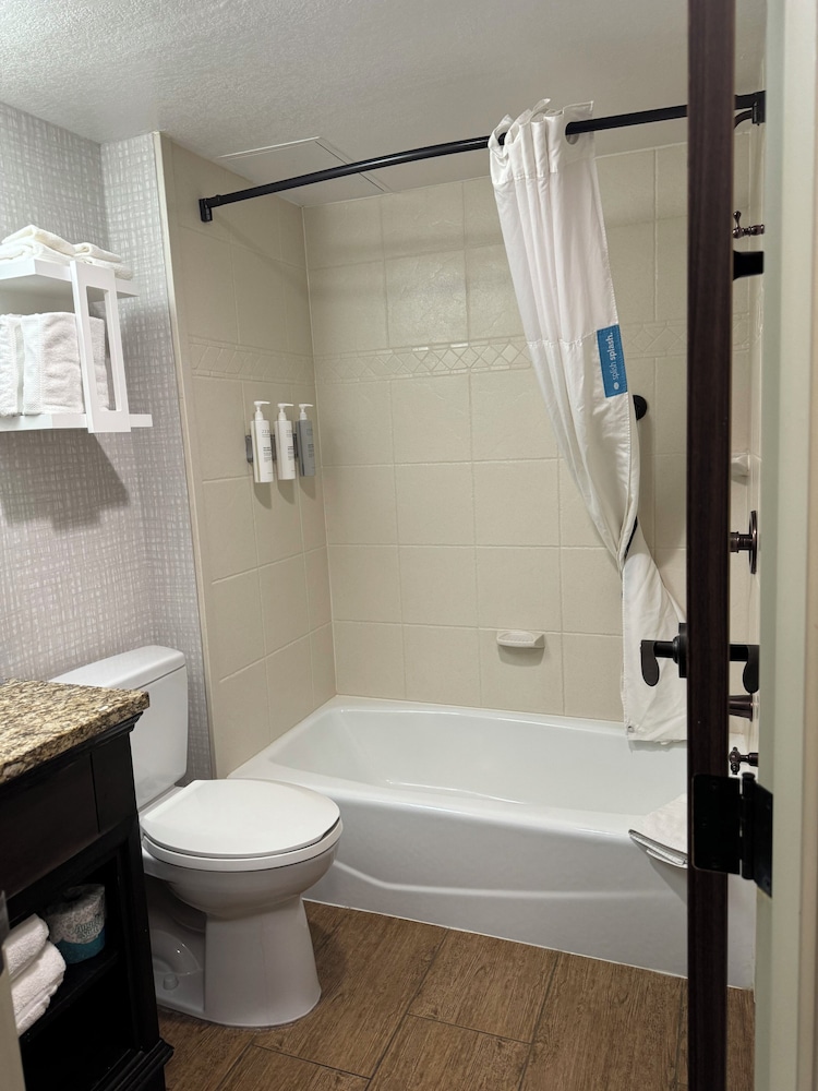 Suite, 1 King Bed, Non Smoking photo 2