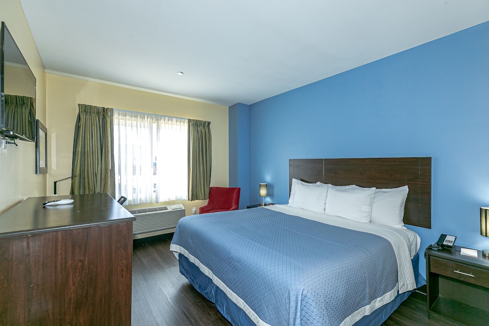 Standard Single Room, 1 King Bed photo 1