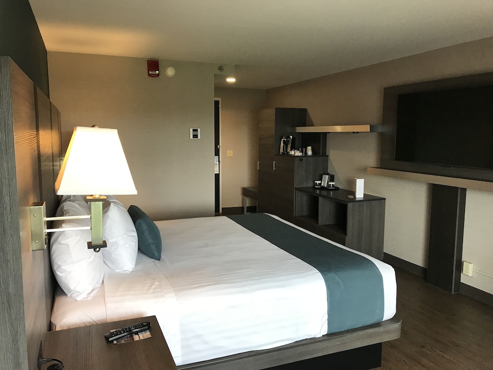 Executive Room, 1 King Bed photo 1