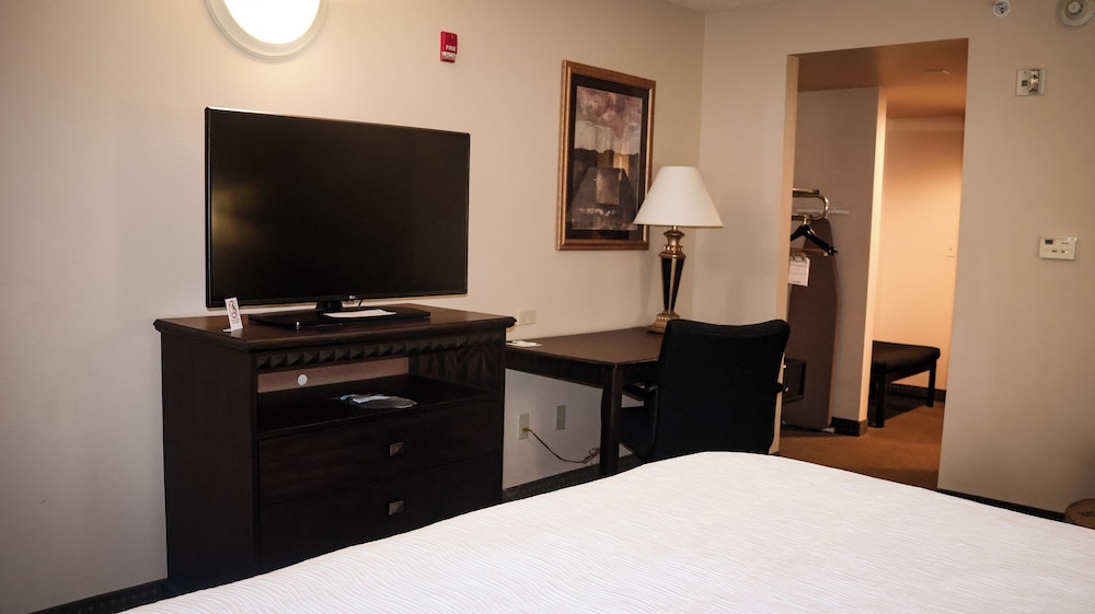 Room, 1 King Bed, Accessible, Non Smoking (Bathtub with Grab Bars) - Photo 7