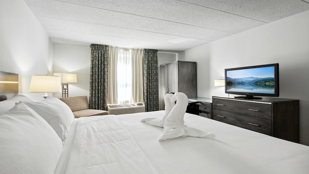 Standard Room, 1 King Bed, Accessible (Mobility) - Photo 1