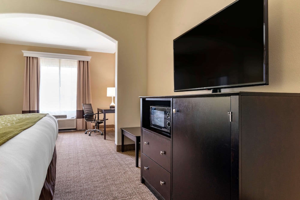 Suite, 1 King Bed with Sofa bed, Accessible, Non Smoking (Efficiency) - Photo 2