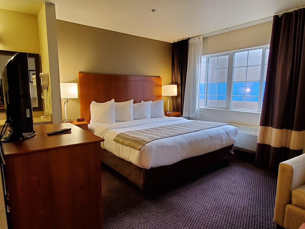 Suite, 1 Bedroom, Non Smoking - Photo 4