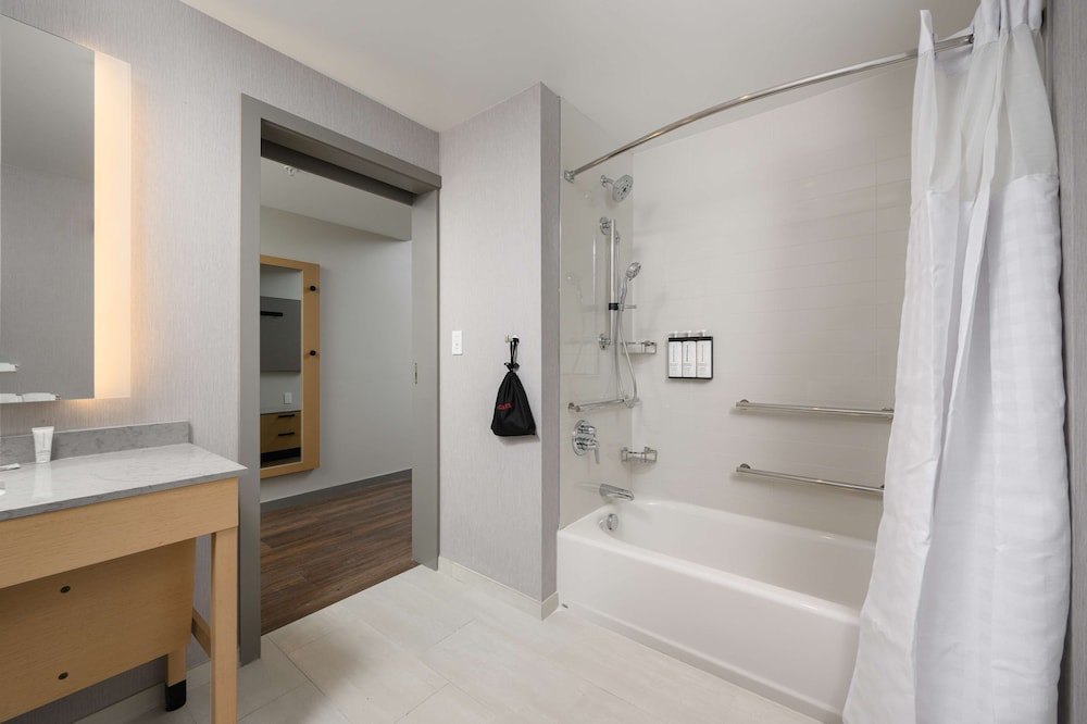 Standard Suite, 1 King Bed with Sofa bed, Accessible, Bathtub