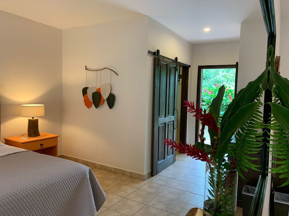 Superior Room, 1 King Bed photo 3