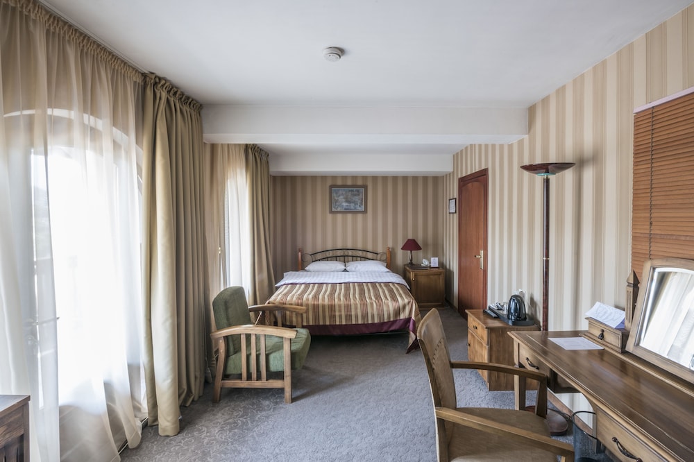 Superior Double Room, 1 King Bed, City View photo 1