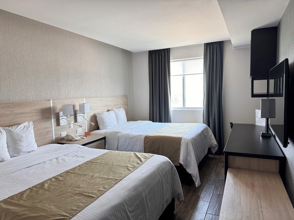 Comfort Quadruple Room photo 3