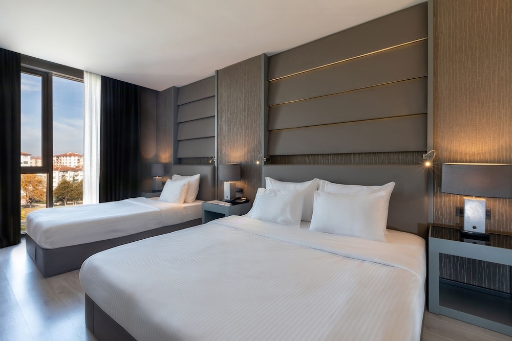 Deluxe French Room photo 2