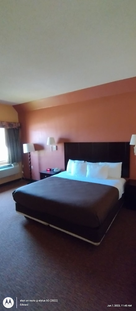 Basic Single Room photo 2