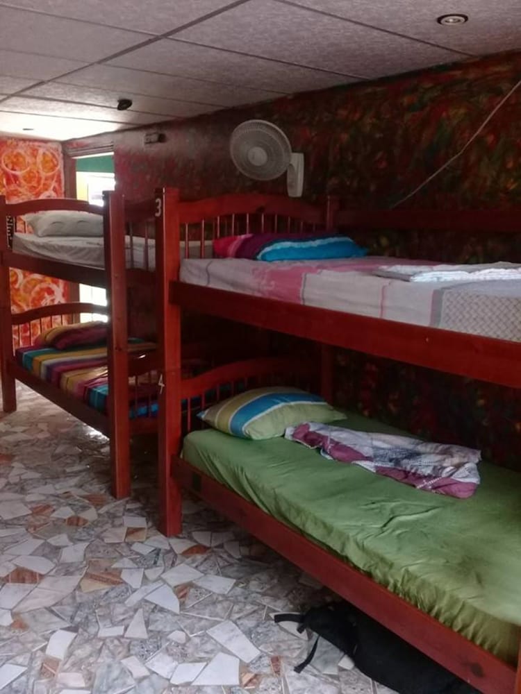 Basic Shared Dormitory, Mixed Dorm, 5 Beds photo 3