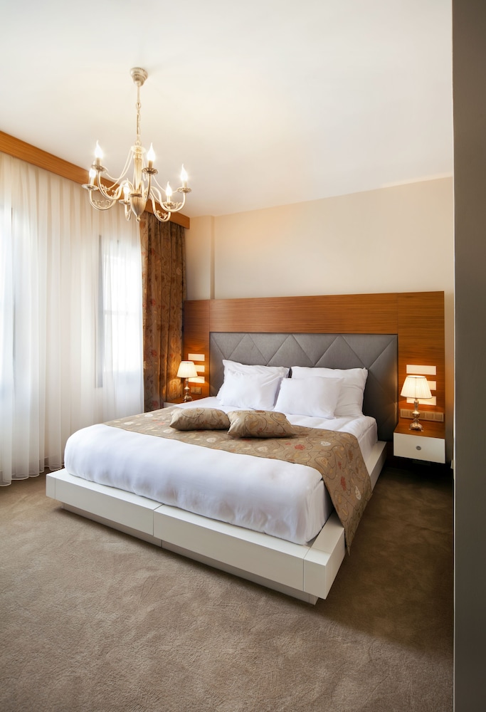 Executive Room photo 1