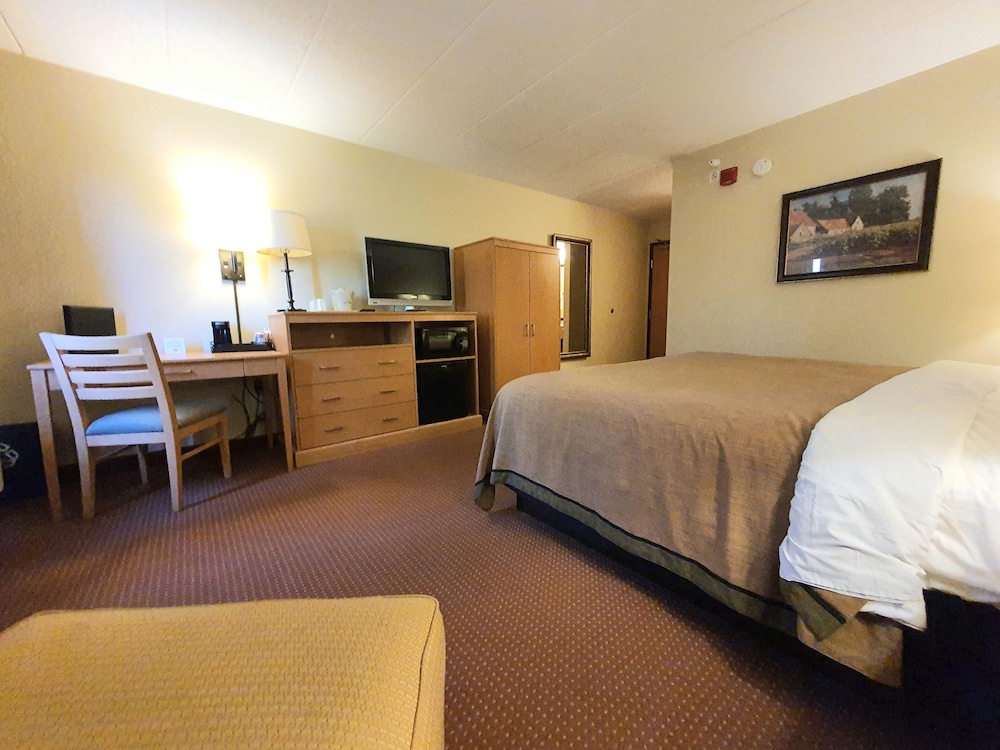 Executive Room, 1 King Bed, Non Smoking - Photo 4