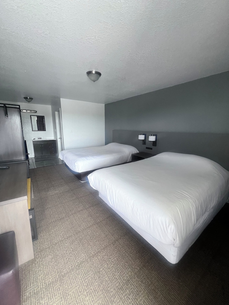 Basic Single Room - Photo 1