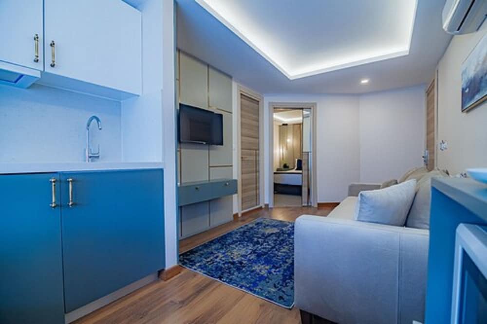 Traditional Apartment photo 3